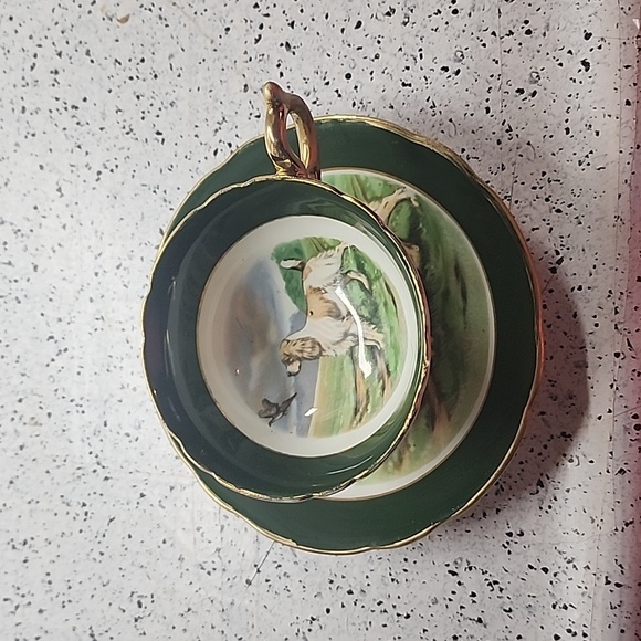 Regency English Setter Dog Pheasant Tea Green Cup Saucer Bone China England - Picture 5 of 7